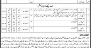 Sindh Public Service Commission jobs